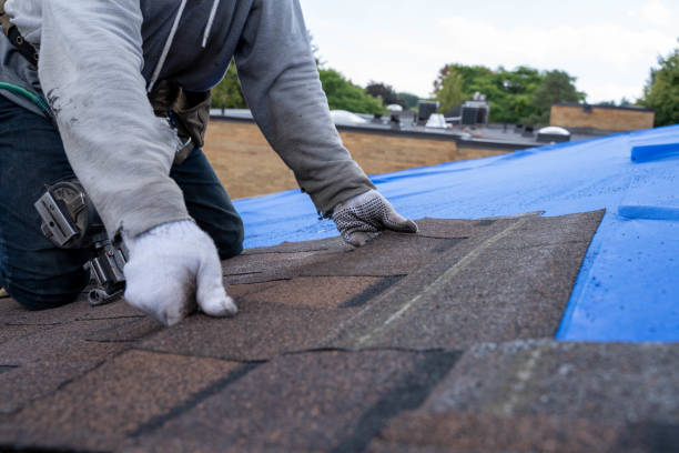 Best Shingle Roofing Installation  in Sewanee, TN